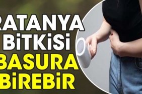 ratanya-bitkisi-basura-birebir-AlKfQU8V.jpg