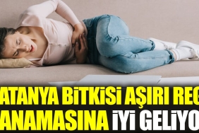 ratanya-bitkisi-cok-regl-kanamasina-l-geliyor-tQzLA9XU.jpg