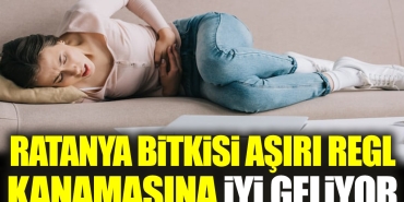 ratanya-bitkisi-cok-regl-kanamasina-l-geliyor-tQzLA9XU.jpg