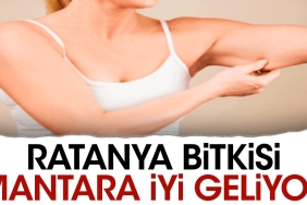 ratanya-bitkisi-mantara-guzel-geliyor-6zdKnQkl.jpg