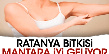 ratanya-bitkisi-mantara-guzel-geliyor-6zdKnQkl.jpg