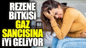 rezene-bitkisi-gaz-sancisina-l-geliyor-kj99usAr.jpg