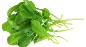 rokanin-faydalari-nelerdir-icinde-hangi-vitaminler-ve-mineraller-var-iste-rokanin-faydalari-LfvfWJIp.jpg