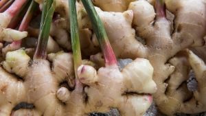 romatizma-agrisina-l-gelen-6-ustun-besin-yi2itWjB.jpg