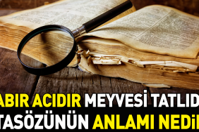 sabir-acidir-meyvesi-tatlidir-atasozunun-manasi-nedir-LK6n41l3.jpg