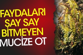 sac-dokulmesini-onluyor-grip-ve-soguk-alginliginda-hastayi-rahatlatir-yararlari-say-say-bitmiyor-FFQU1QAM.jpg