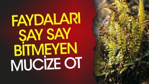 sac-dokulmesini-onluyor-grip-ve-soguk-alginliginda-hastayi-rahatlatir-yararlari-say-say-bitmiyor-FFQU1QAM.jpg