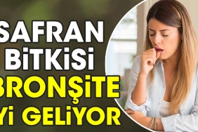 safran-bitkisi-bronsite-l-geliyor-Eva3Qq9R.jpg