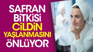 safran-bitkisi-cildin-yaslanmasini-onluyor-Vh6BRQtj.jpg