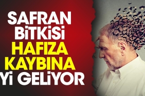 safran-bitkisi-hafiza-kaybina-yeterli-geliyor-GxkT89t2.jpg