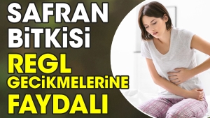 safran-bitkisi-regl-gecikmelerinde-yararli-yIFBa6xn.jpg