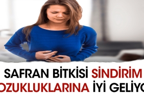 safran-bitkisi-sindirim-bozukluklarina-guzel-geliyor-ayXVfbzP.jpg