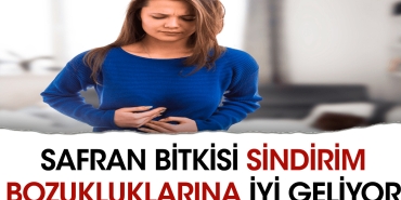 safran-bitkisi-sindirim-bozukluklarina-guzel-geliyor-ayXVfbzP.jpg