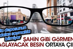 sahin-uzere-gormenizi-saglayacak-besin-ortaya-cikti-sifa-deposunun-yararlari-saymakla-bitmiyor-3EmnsGZi.jpg