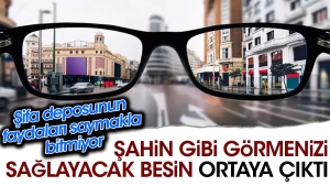 sahin-uzere-gormenizi-saglayacak-besin-ortaya-cikti-sifa-deposunun-yararlari-saymakla-bitmiyor-3EmnsGZi.jpg