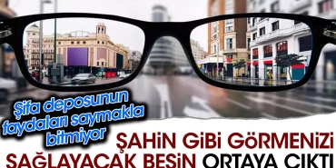sahin-uzere-gormenizi-saglayacak-besin-ortaya-cikti-sifa-deposunun-yararlari-saymakla-bitmiyor-3EmnsGZi.jpg