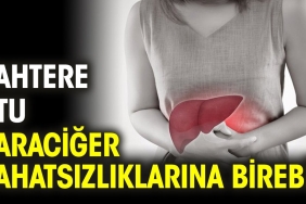 sahtere-otu-karaciger-rahatsizliklarina-birebir-LDRZCeyf.jpg