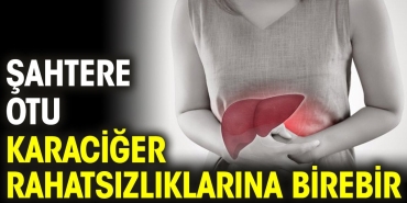 sahtere-otu-karaciger-rahatsizliklarina-birebir-LDRZCeyf.jpg