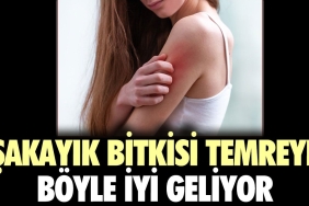 sakayik-bitkisi-temreye-bu-turlu-l-geliyor-kQNPxGtI.jpg