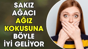 sakiz-agaci-agiz-kokusuna-bu-turlu-guzel-geliyor-wWGe2JR4.jpg