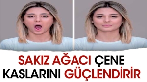 sakiz-agaci-cene-kaslarini-guclendirir-4LaBb9M4.jpg