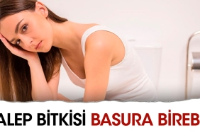salep-bitkisi-basura-birebir-2XRN6HXI.jpg