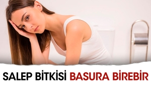 salep-bitkisi-basura-birebir-2XRN6HXI.jpg