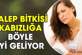 salep-bitkisi-kabizliga-bu-turlu-l-geliyor-D32h9X9m.jpg