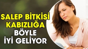 salep-bitkisi-kabizliga-bu-turlu-l-geliyor-D32h9X9m.jpg