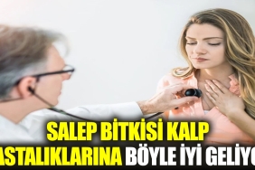 salep-bitkisi-kalp-hastaliklarina-bu-turlu-duzgun-geliyor-tvXuXnEW.jpg