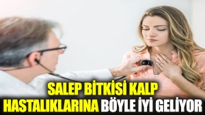 salep-bitkisi-kalp-hastaliklarina-bu-turlu-duzgun-geliyor-tvXuXnEW.jpg