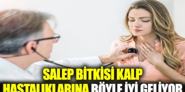 salep-bitkisi-kalp-hastaliklarina-bu-turlu-duzgun-geliyor-tvXuXnEW.jpg
