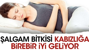 salgam-bitkisi-kabizligi-birebir-yeterli-geliyor-a8Z7eIqO.jpg