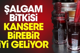 salgam-bitkisi-kansere-birebir-yeterli-geliyor-ZsxJICmY.jpg