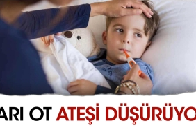 sari-ot-atesi-dusuruyor-NBtevANs.jpg