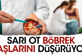 sari-ot-bobrek-taslarini-dusuruyor-Kj9DPSqc.jpg