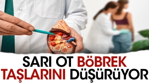 sari-ot-bobrek-taslarini-dusuruyor-Kj9DPSqc.jpg