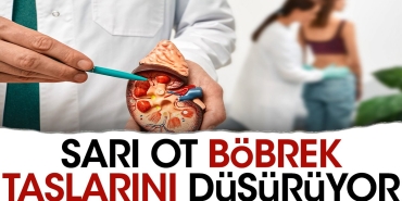sari-ot-bobrek-taslarini-dusuruyor-Kj9DPSqc.jpg