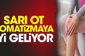 sari-ot-romatizmaya-guzel-geliyor-OlyuAjlA.jpg
