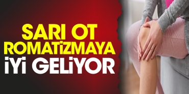sari-ot-romatizmaya-guzel-geliyor-OlyuAjlA.jpg