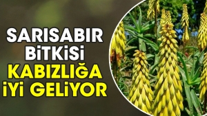 sarisabir-bitkisi-kabizliga-guzel-geliyor-ecti7QBw.jpg