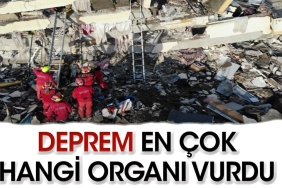 sarsinti-sonrasi-en-cok-hangi-organ-ziyan-gordu-unViRWwy.jpg