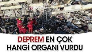 sarsinti-sonrasi-en-cok-hangi-organ-ziyan-gordu-unViRWwy.jpg