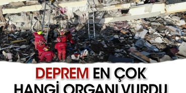sarsinti-sonrasi-en-cok-hangi-organ-ziyan-gordu-unViRWwy.jpg