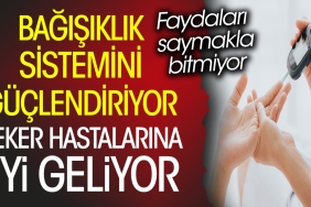seker-hastalarina-duzgun-geliyor-bagisiklik-sistemini-guclendiriyor-yararlari-saymakla-bitmiyor-h4lVgiJC.jpg