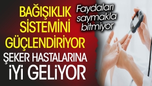 seker-hastalarina-duzgun-geliyor-bagisiklik-sistemini-guclendiriyor-yararlari-saymakla-bitmiyor-h4lVgiJC.jpg