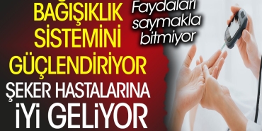 seker-hastalarina-duzgun-geliyor-bagisiklik-sistemini-guclendiriyor-yararlari-saymakla-bitmiyor-h4lVgiJC.jpg