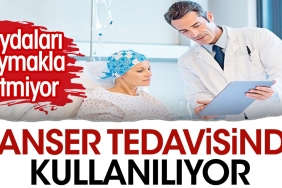 semizotu-kanser-tedavisinde-kullaniliyor-zcO4Ridk.jpg