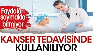 semizotu-kanser-tedavisinde-kullaniliyor-zcO4Ridk.jpg