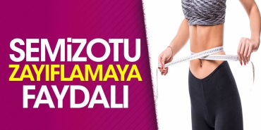 semizotu-zayiflamaya-yararli-AHiwlfhH.jpg